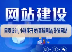 专注网站建设，网页设计、纯定制开发